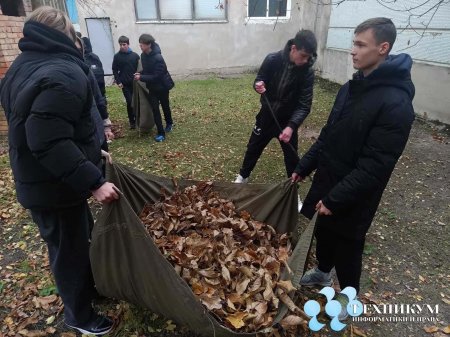 Благоустройство территории техникума: результаты уборки